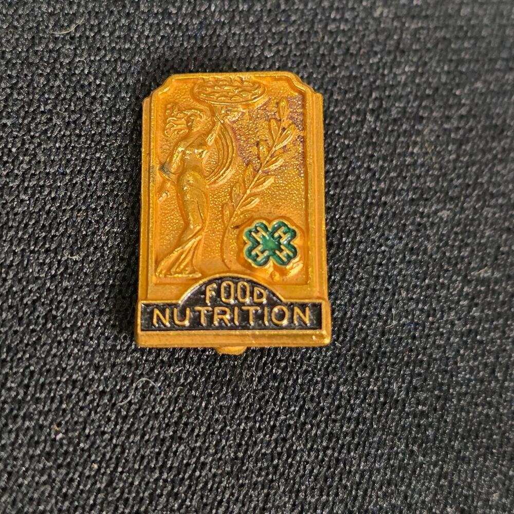 Vintage 4-H General Foods Food Nutrition Lapel Pin Award Brooch